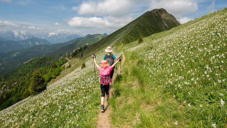 Why Hiking With Kids Is Worth the Effort