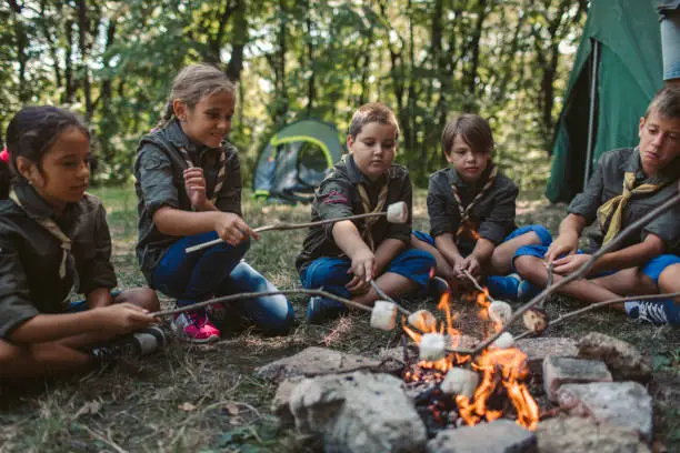 Before You Light a Fire: Check the Rules