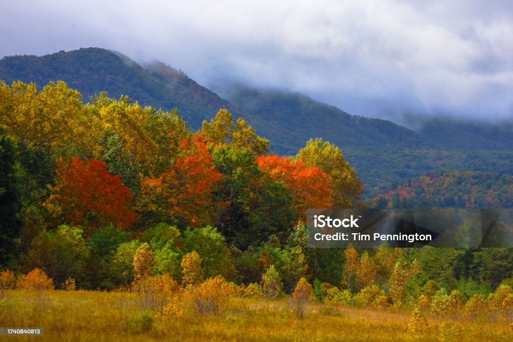 Great Smoky Mountains: Gatlinburg and Townsend, Tennessee