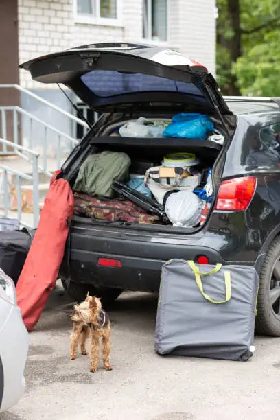 Before You Pack: Check the Car