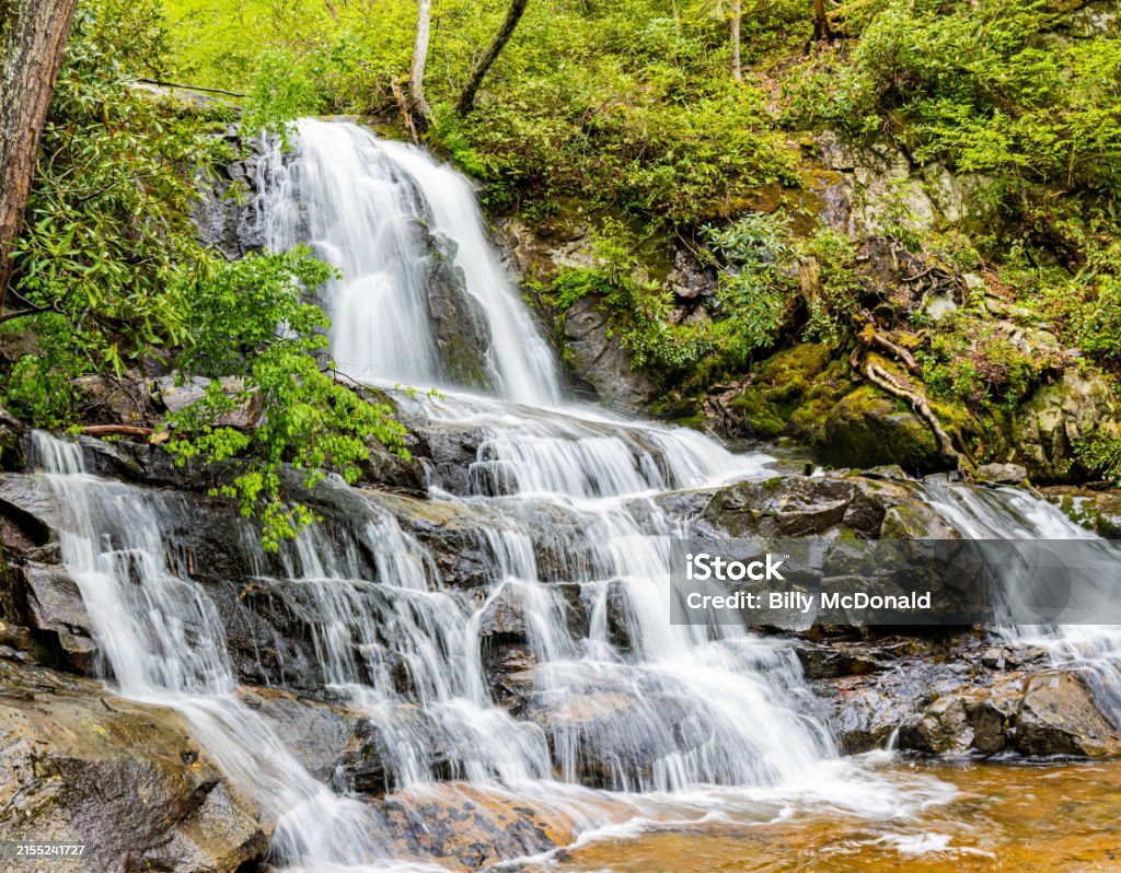 Laurel Falls Trail, Great Smoky Mountains National Park (Tennessee)