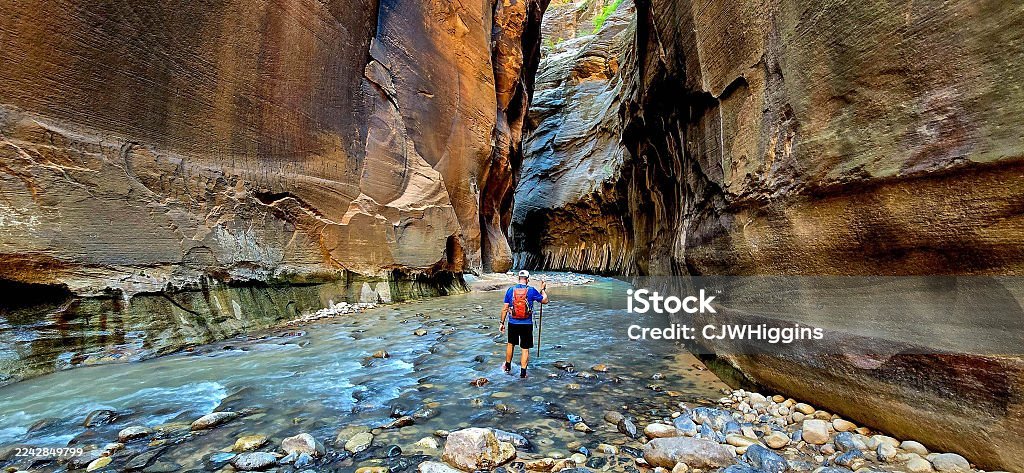 Riverside Walk, Zion National Park (Utah)